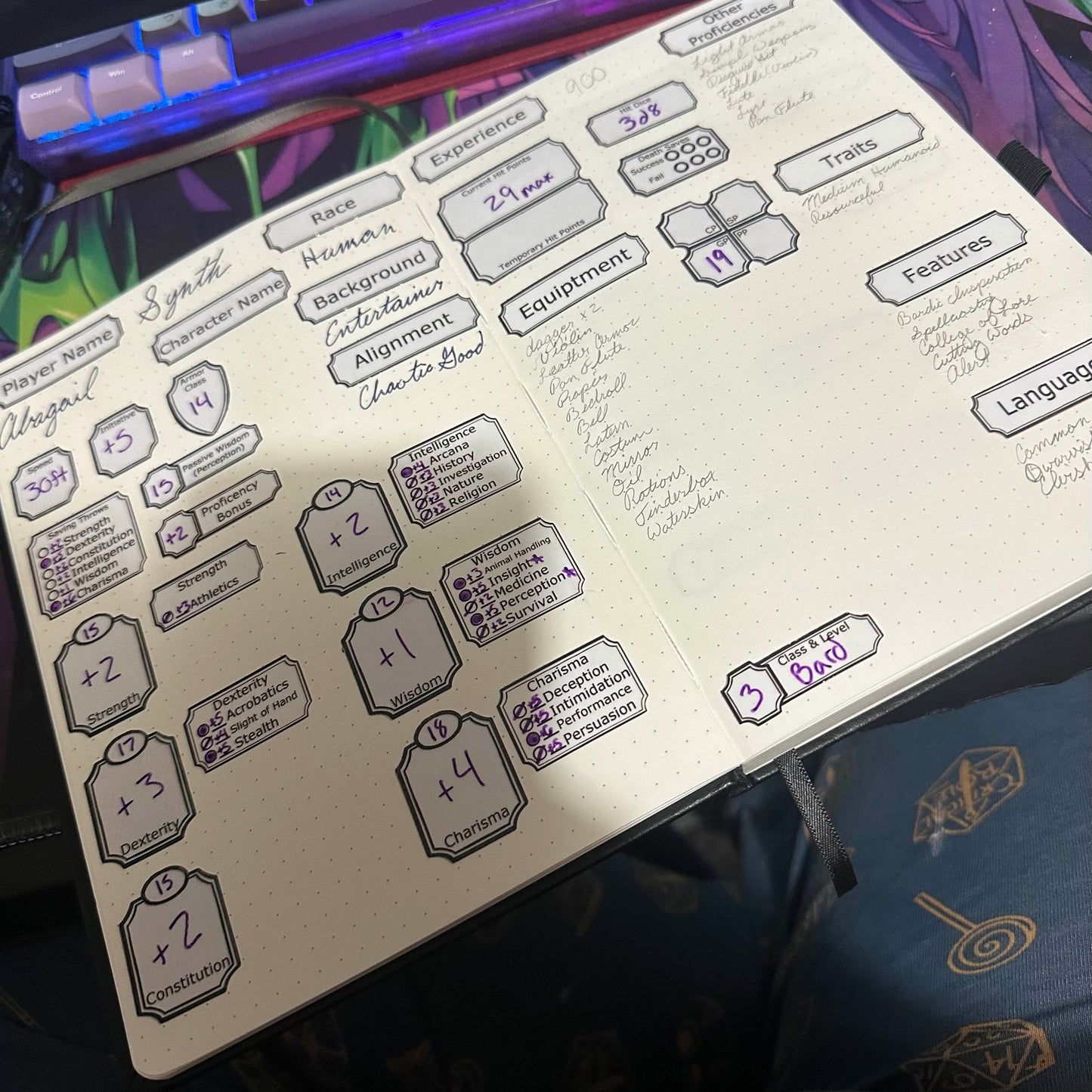 Dungeons &amp; Dragons Dry Erase Character Sheet Stickers – Reusable Vinyl Set with Laminated Storage Folder